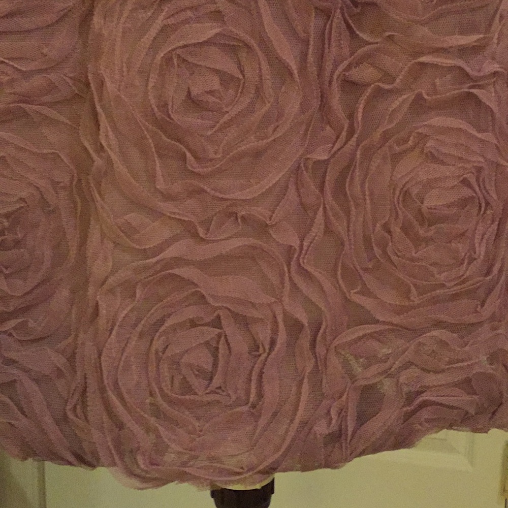 J. Crew skirt, lined lacy. FINAL PRICE DROP!!!! - Picture 3 of 4